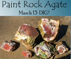 Get more details by clicking this banner !
