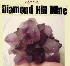 Visit the Diamond Hill mine in South Carolina to dig for amethyst & quartz crystals.
