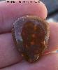 strange orbicular or spotted agate cabochon ( Ritchie Ranch ) 