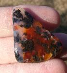 woodward ranch agate