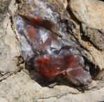 Close-up of agate in matrix seen on left