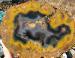 Roland's Agate
