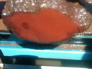 this nodule found by chris painter